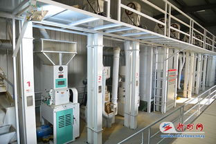 代縣雁門(mén)關(guān)鄉(xiāng)小雜糧加工廠建成投產(chǎn)